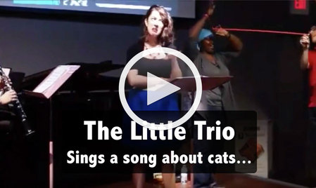Little Trio Cats song hilarious